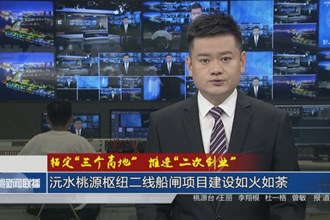 沅水桃源樞紐二線船閘項目建設如火如荼