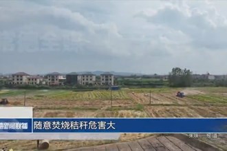 隨意焚燒秸稈危害大