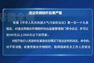 違法焚燒秸稈后果嚴重