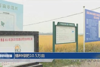 漢壽：播種綠肥10.5萬畝