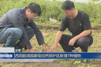 漢壽：西洞庭湖國(guó)家級(jí)自然保護(hù)區(qū)新增7種植物