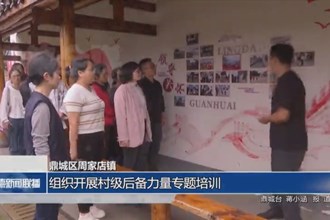 鼎城區(qū)周家店鎮(zhèn)：組織開(kāi)展村級(jí)后備力量專題培訓(xùn)