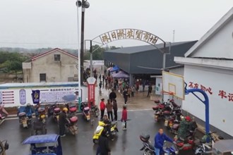 臨澧： 農(nóng)集貿(mào)市場舊貌換新顏