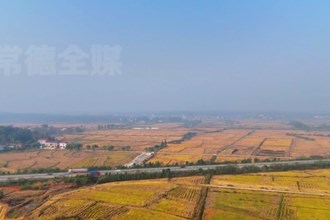 臨澧：推進(jìn)高標(biāo)準(zhǔn)農(nóng)田建設(shè) 繪就現(xiàn)代農(nóng)業(yè)新畫卷