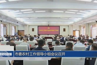 市委農(nóng)村工作領導小組會議召開