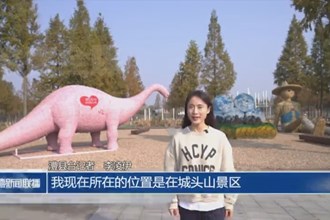 2024中國（城頭山）國際稻草藝術(shù)節(jié)11月16日舉行