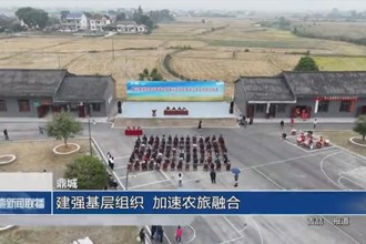 鼎城：建強(qiáng)基層組織 加速農(nóng)旅融合
