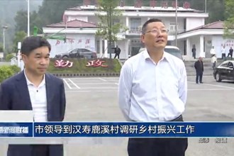 市領(lǐng)導(dǎo)到漢壽鹿溪村調(diào)研鄉(xiāng)村振興工作