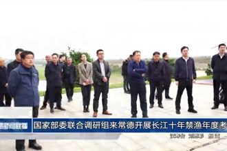 國家部委聯(lián)合調(diào)研組來常德開展長江十年禁漁年度考核
