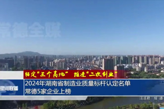2024年湖南省制造業(yè)質(zhì)量標(biāo)桿認(rèn)定名單 常德5家企業(yè)上榜
