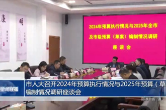 市人大召開2024年預(yù)算執(zhí)行情況與2025年預(yù)算（草案）編制情況調(diào)研座談會