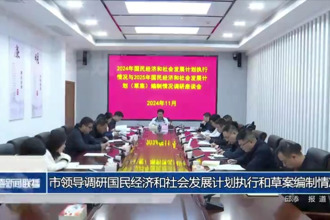 市領(lǐng)導(dǎo)調(diào)研國民經(jīng)濟(jì)和社會發(fā)展計劃執(zhí)行和草案編制情況