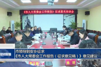 市領(lǐng)導(dǎo)到安鄉(xiāng)征求《市人大常委會工作報告（征求意見稿）》意見建議