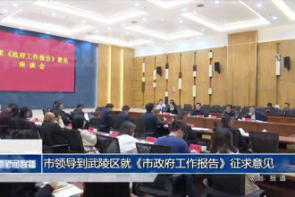 市領(lǐng)導(dǎo)到武陵區(qū)就《市政府工作報(bào)告》征求意見