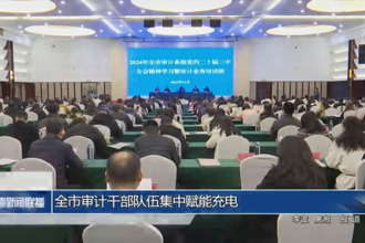 常德市審計(jì)干部隊(duì)伍集中賦能充電