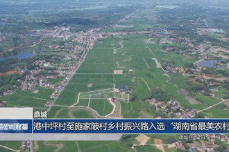 鼎城：港中坪村至施家陂村鄉(xiāng)村振興路入選“湖南省最美農(nóng)村路”