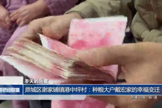 鼎城區(qū)謝家鋪鎮(zhèn)港中坪村：種糧大戶戴宏家的幸福變遷