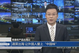 常德農產(chǎn)品出海記：蔬菜出海 讓外國人愛上“中國味”