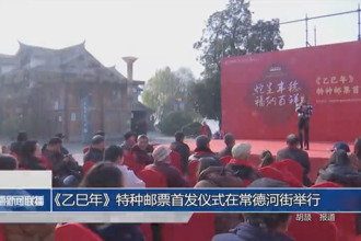 《乙巳年》特種郵票首發(fā)儀式在常德河街春秋廣場(chǎng)舉行