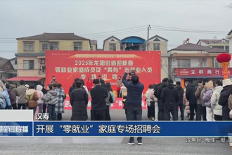 漢壽：開展“零就業(yè)”家庭專場招聘會