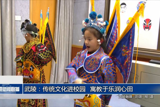 武陵：傳統(tǒng)文化進(jìn)校園 寓教于樂潤心田