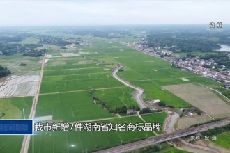 常德市新增7件湖南省知名商標品牌