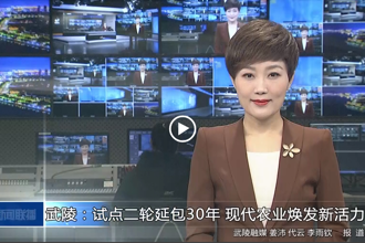 武陵：試點二輪延包30年 現(xiàn)代農(nóng)業(yè)煥發(fā)新活力