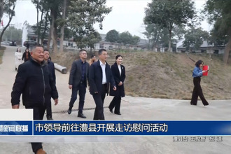市領(lǐng)導(dǎo)前往澧縣開展走訪慰問活動