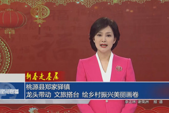 新春走基層 桃源縣鄭家驛鎮(zhèn)：龍頭帶動 文旅搭臺 繪鄉(xiāng)村振興美麗畫卷