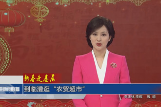 新春走基層 到臨澧逛“農(nóng)貿(mào)超市”