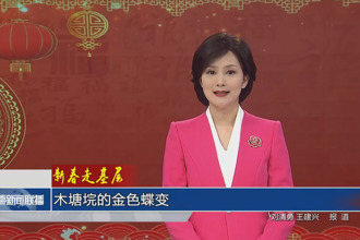新春走基層 木塘垸的金色蝶變