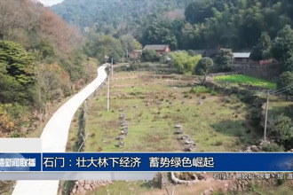石門：壯大林下經(jīng)濟(jì) 蓄勢(shì)綠色崛起