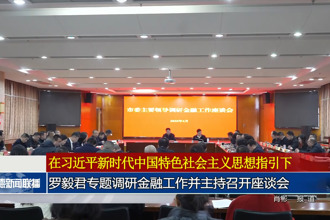 羅毅君專題調(diào)研金融工作并主持召開座談會