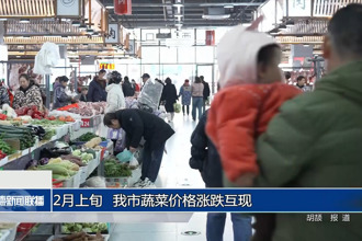 2月上旬 常德市蔬菜價(jià)格漲跌互現(xiàn)
