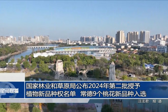 國(guó)家林業(yè)和草原局公布2024年第二批授予植物新品種權(quán)名單 常德9個(gè)桃花新品種入選