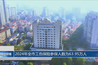2024年全市工傷保險(xiǎn)參保人數(shù)為63.95萬(wàn)人