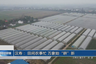 漢壽： 田間農(nóng)事忙 萬(wàn)象始“耕”新
