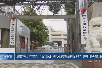 常德市落地首筆“企業(yè)匯率風(fēng)險(xiǎn)管理服務(wù)”應(yīng)用場景業(yè)務(wù)