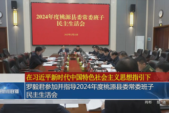 羅毅君參加并指導2024年度桃源縣委常委班子民主生活會