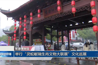 常德博物館：舉行“靈蛇獻(xiàn)瑞生肖文物大聯(lián)展”文化巡展