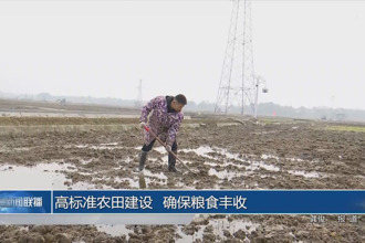高標準農(nóng)田建設 確保糧食豐收