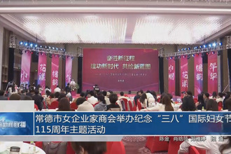 常德市女企業(yè)家商會(huì)舉辦紀(jì)念“三八”國(guó)際婦女節(jié)115周年主題活動(dòng)