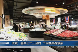 武陵：春菜上市正當(dāng)時(shí) 市民餐桌春意濃