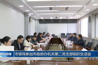 市領(lǐng)導(dǎo)參加市政府辦機(jī)關(guān)第二黨支部組織生活會(huì)