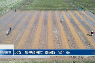 漢壽：集中育秧忙 確保好“苗”頭