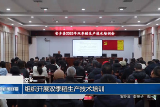 安鄉(xiāng)：組織開展雙季稻生產(chǎn)技術培訓