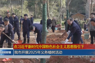 常德市開展2025年義務(wù)植樹活動(dòng)