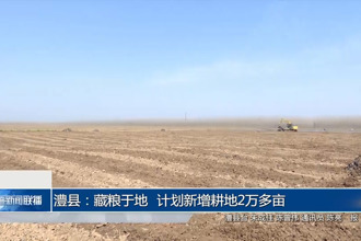 澧縣：藏糧于地 計劃新增耕地2萬多畝
