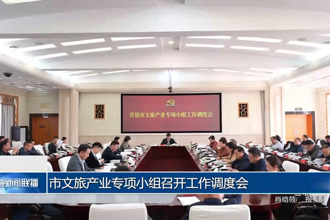 常德市文旅產(chǎn)業(yè)專(zhuān)項(xiàng)小組召開(kāi)工作調(diào)度會(huì)