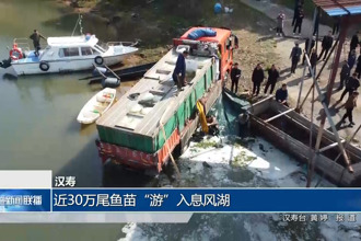 漢壽：近30萬(wàn)尾魚(yú)苗“游”入息風(fēng)湖